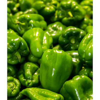 فلفل بلدي وزن